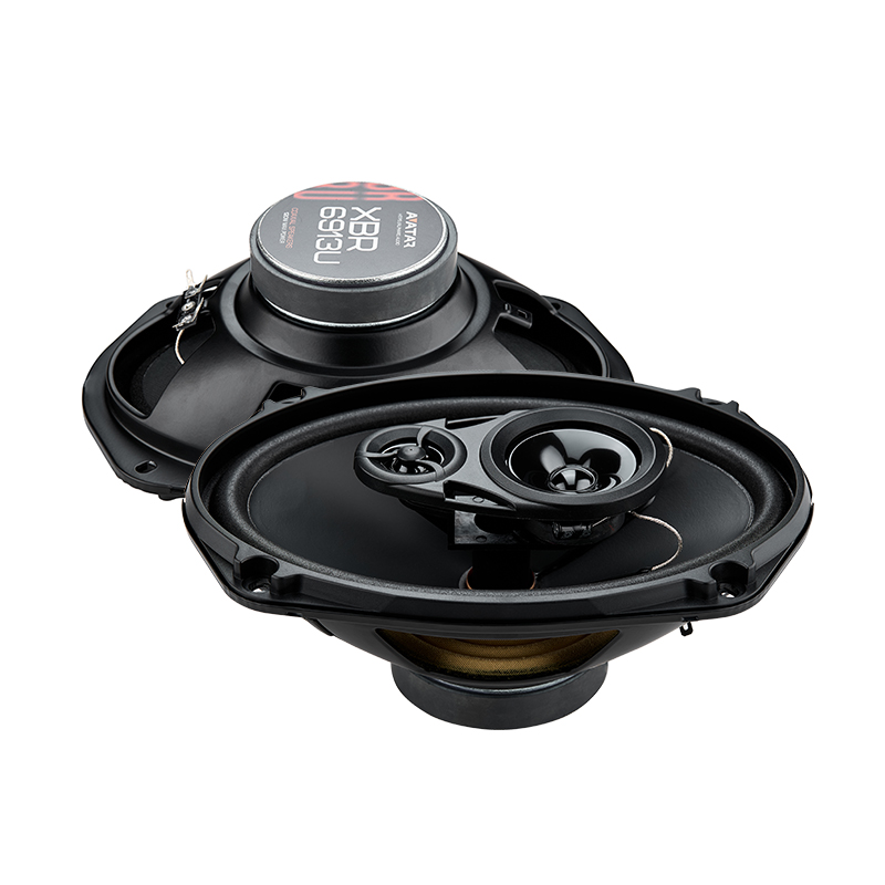 Avatar XBR-6913U